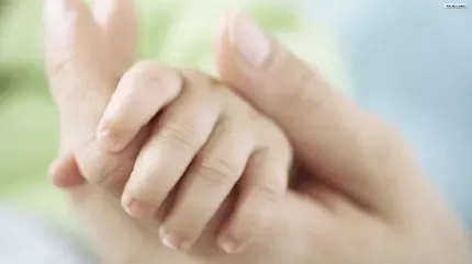  عکس مادر و بچه در دشت برای پروفایل
