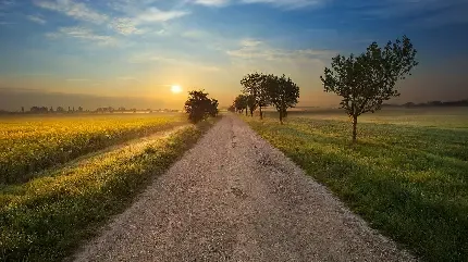  عکس مادر و بچه در دشت برای پروفایل