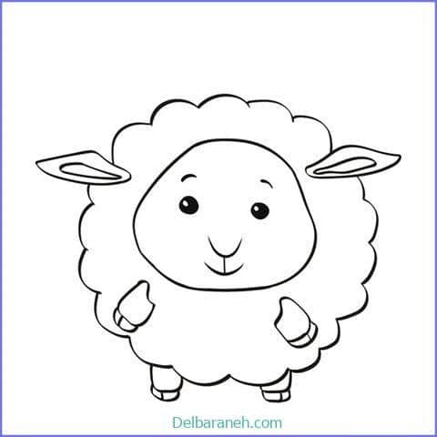  عکس گوسفند فانتزی