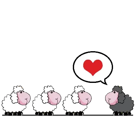  عکس گوسفند بامزه