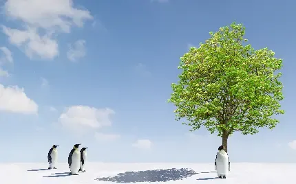  عکس پنگوئن تنها