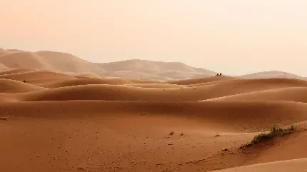 پس زمینه کویر در غروب