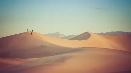پس زمینه کویر در غروب