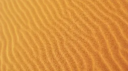 پس زمینه کویر در غروب