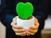 عکس قلب قرمز عاشقانه متحرک