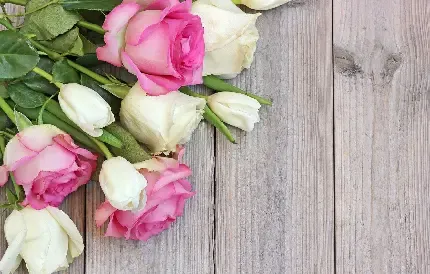  عکس پروفایل گلدان گل زیبا