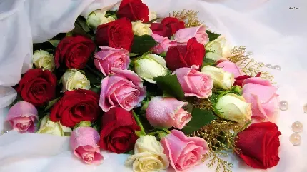  عکس پروفایل گلدان گل زیبا