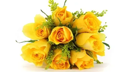  عکس پروفایل گلدان گل زیبا