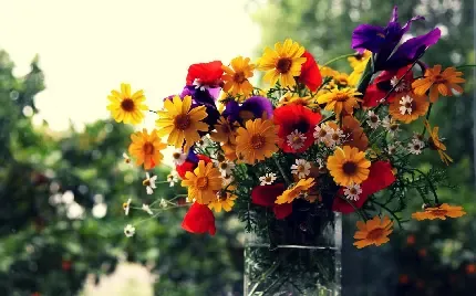  عکس پروفایل گلدان گل زیبا