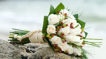  عکس پروفایل گلدان گل زیبا