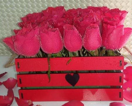  والپیپر دسته گل رز قرمز عاشقانه