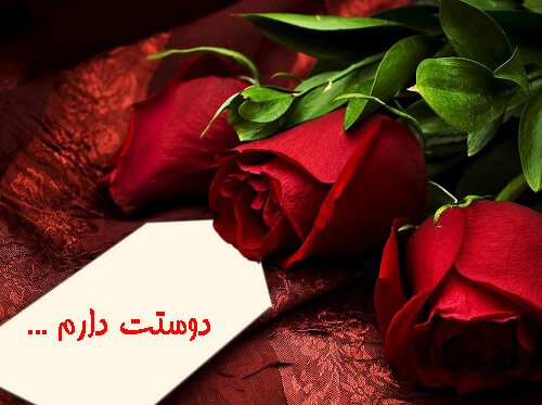  والپیپر دسته گل رز قرمز عاشقانه