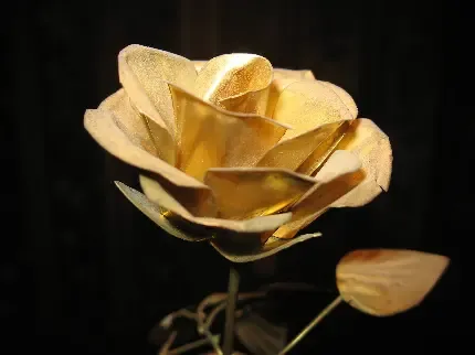  تصویر زمینه دسته گل رز قرمز برای کامپیوتر