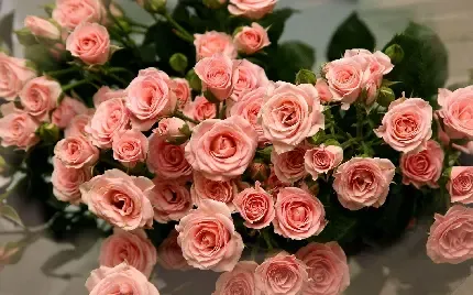  تصویر زمینه دسته گل رز قرمز برای کامپیوتر
