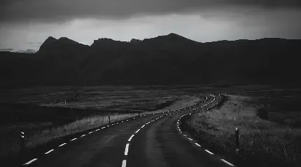  تصویر زمینه سیاه سفید جنگل