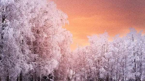  عکس بک گراند زمستان