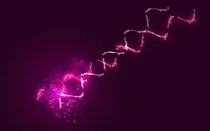  پروفایل برای گروه زیست