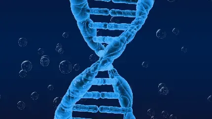  عکس دی ان ای DNA انسان