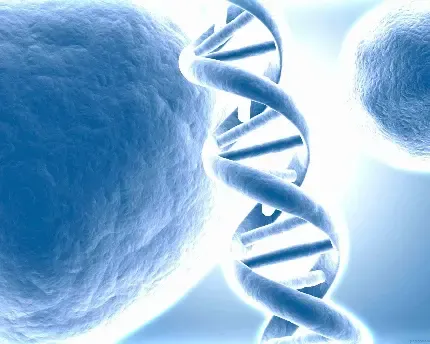  عکس دی ان ای DNA انسان