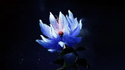  عکس گل نیلوفر آبی سفید