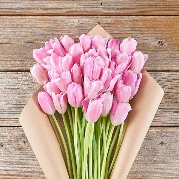  عکس گل لاله برای پروفایل