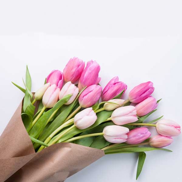  عکس گل لاله برای پروفایل