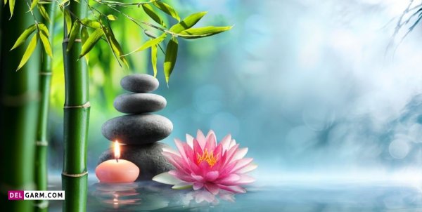 عکس گل نیلوفر آبی هنری