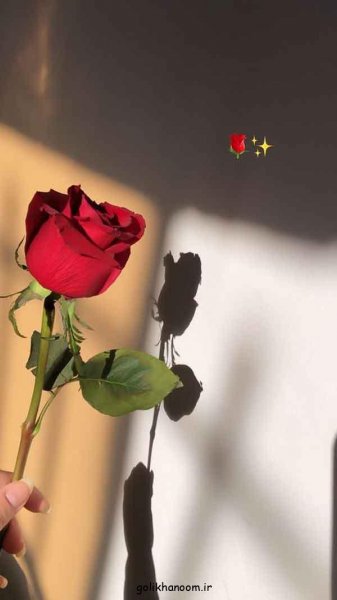  عکس گل های جالب و زیبا