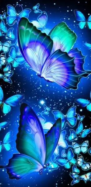  بک گراند پروانه زیبا روی گل
