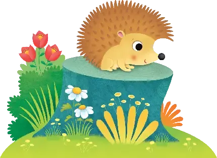  عکس جوجه تیغی برای زمینه کامپیوتر