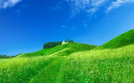  عکس پس زمینه چمنزار با کیفیت بالا