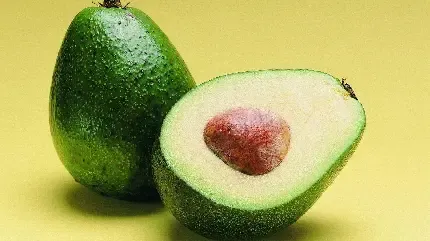  عکس آووکادو