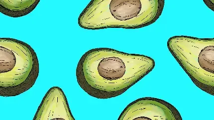  عکس آووکادو کیوت