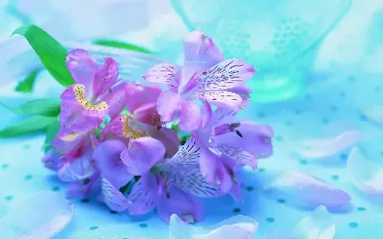  عکس گل بنفشه وحشی