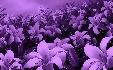  عکس گل بنفشه وحشی