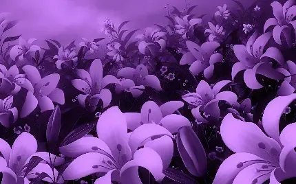  عکس گل بنفشه وحشی