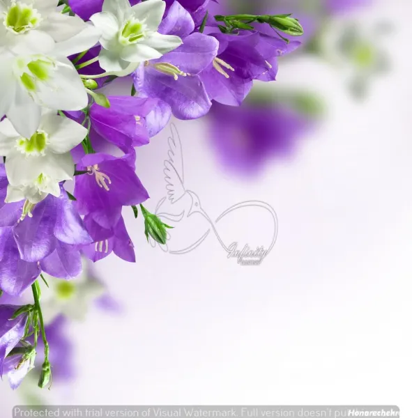 عکس گل بنفشه برای بک گراند