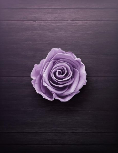 بک گراند گل بنفشه