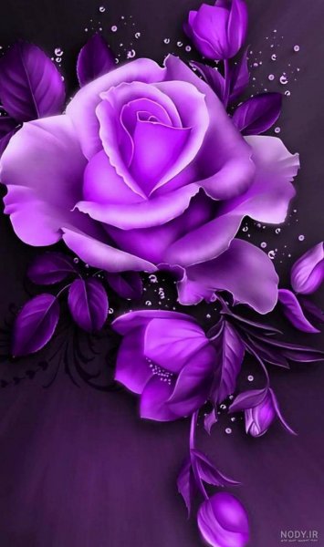 عکس گل بنفشه برای تصویر زمینه