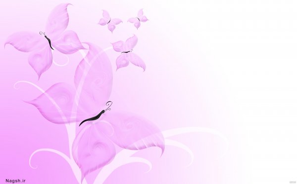 عکس گل بنفشه برای تصویر زمینه