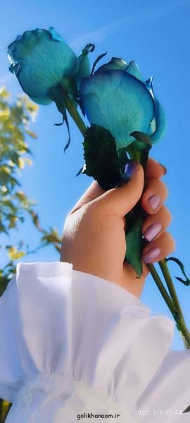  عکس پروفایل گل