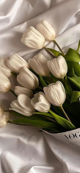  عکس گل برای پروفایل