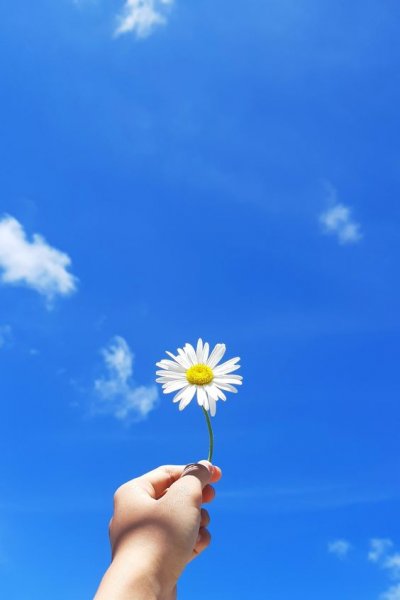  عکس گل برای پروفایل