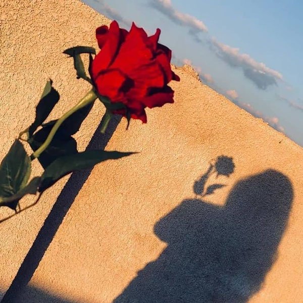  تصویر پروفایل دخترانه لاکچری و خاص