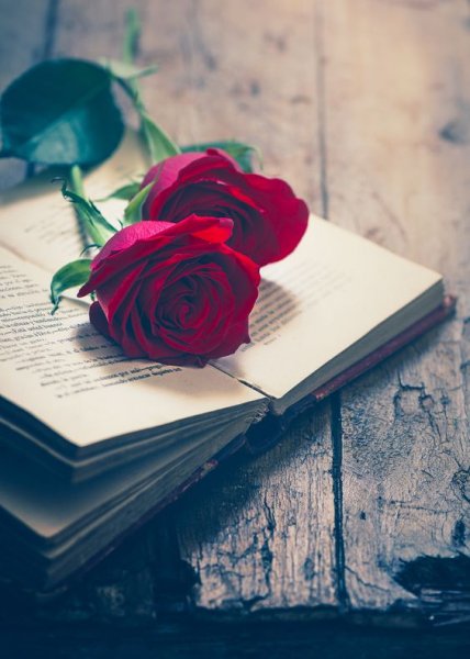  والپیپر عاشقانه دونفره برای گوشی موبایل