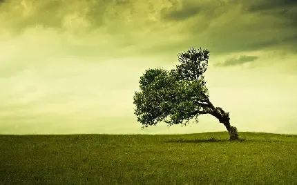  عکس کریسمس هنری خاص 2026