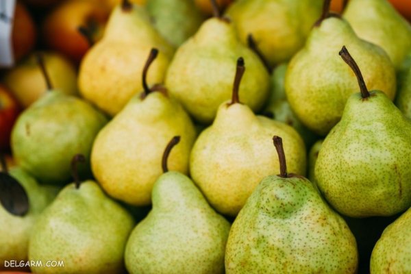  عکس پس زمینه میوه گلابی تازه