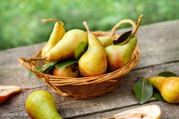  عکس گلابی برای پروفایل