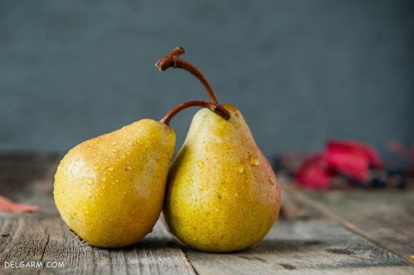  عکس گلابی برای پروفایل