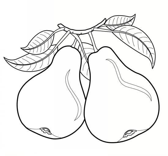  عکس گلابی نقاشی